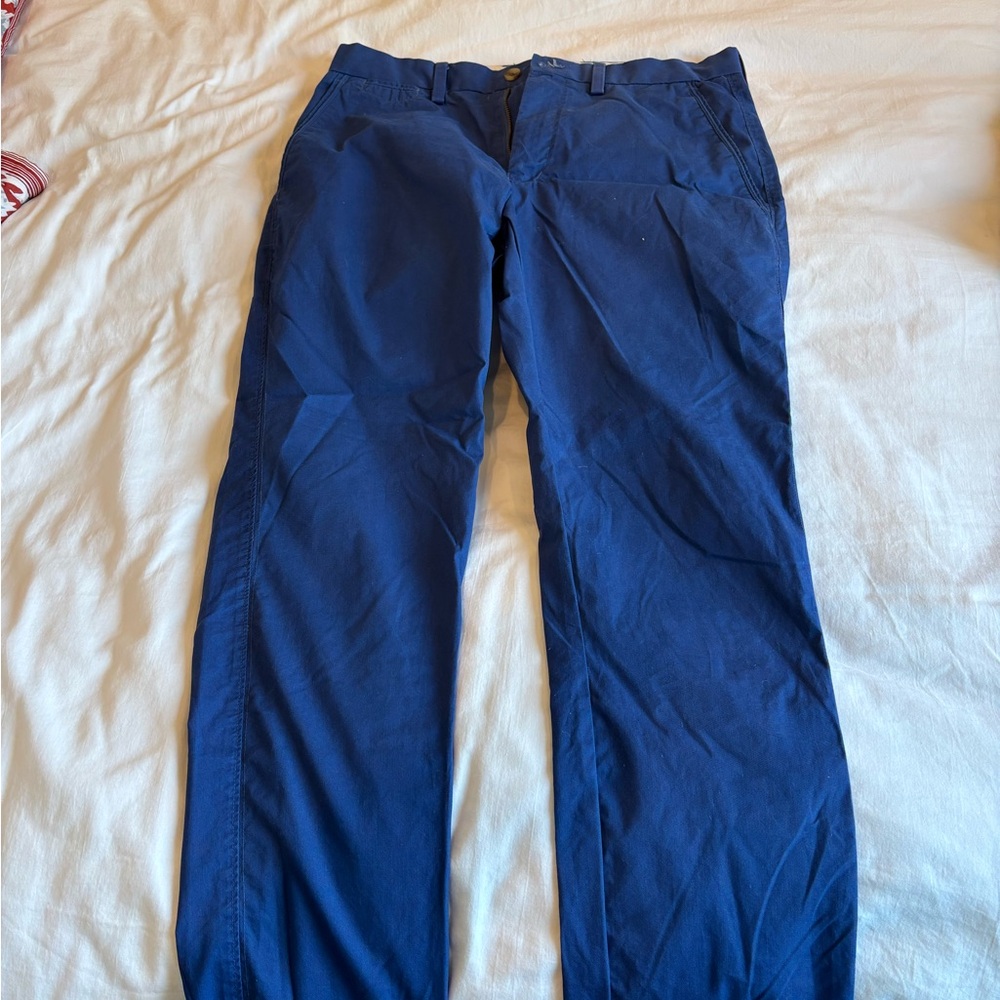 TailorByrd Collection Men's Blue Pants 30/30